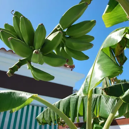 아파트 Lacy Golf (adults Only)